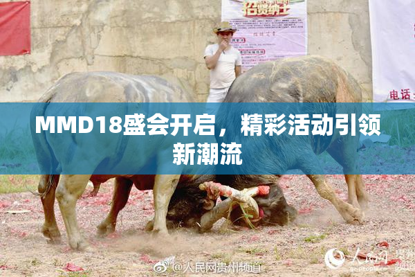 MMD18盛会开启，精彩活动引领新潮流