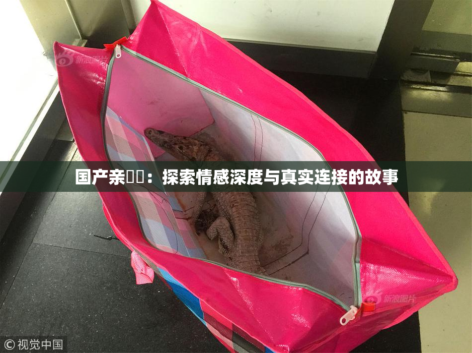 国产亲妺妺：探索情感深度与真实连接的故事
