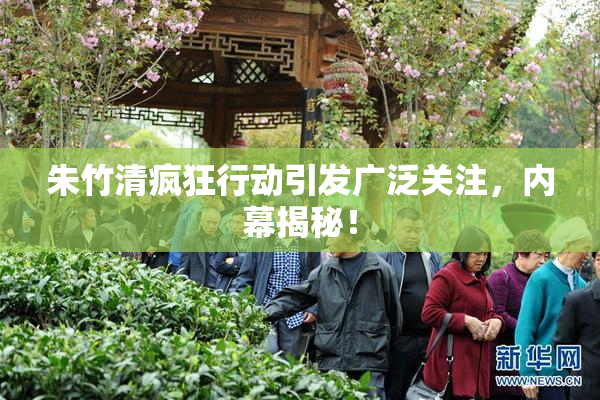 朱竹清疯狂行动引发广泛关注，内幕揭秘！