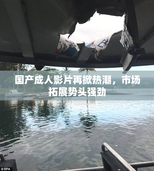 国产成人影片再掀热潮，市场拓展势头强劲