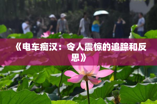 《电车痴汉：令人震惊的追踪和反思》
