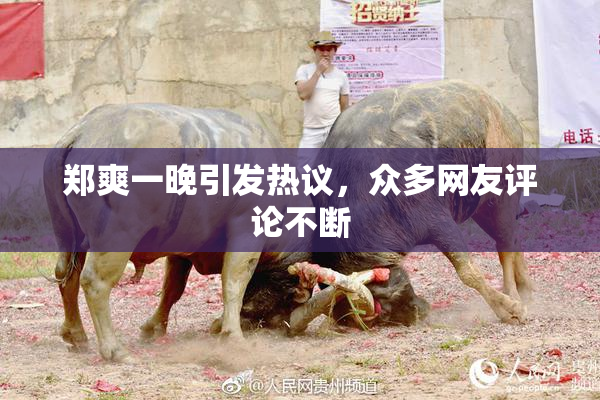 郑爽一晚引发热议，众多网友评论不断