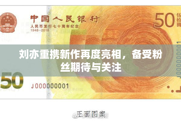 刘亦重携新作再度亮相，备受粉丝期待与关注