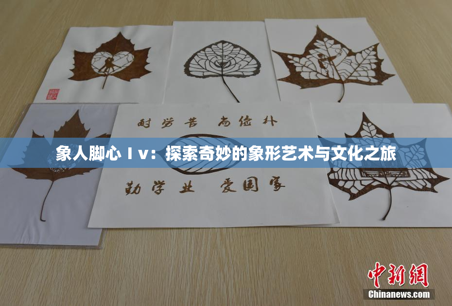 象人脚心Ⅰv：探索奇妙的象形艺术与文化之旅