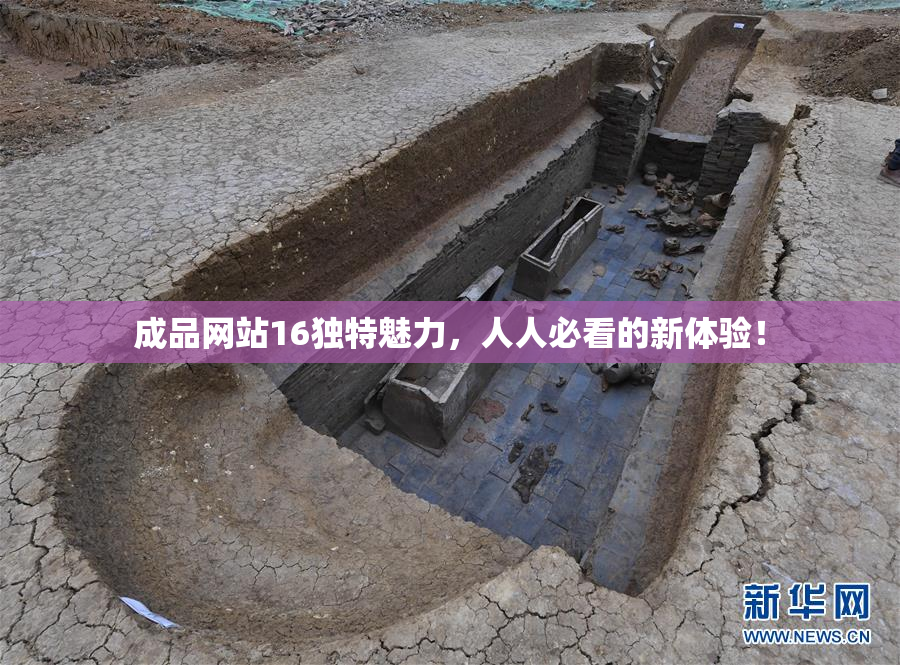 成品网站16独特魅力，人人必看的新体验！
