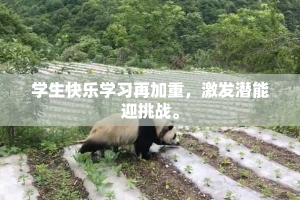 学生快乐学习再加重，激发潜能迎挑战。