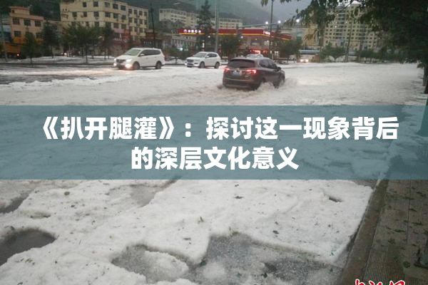 《扒开腿灌》：探讨这一现象背后的深层文化意义