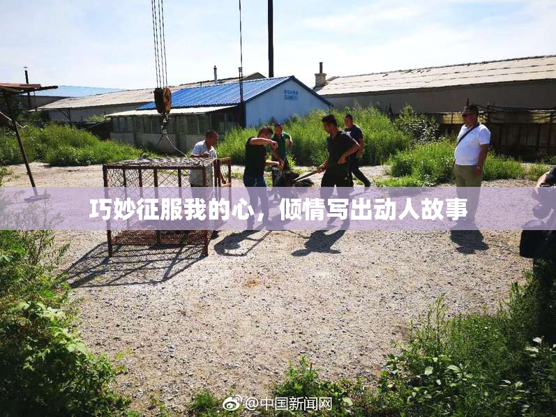 巧妙征服我的心，倾情写出动人故事