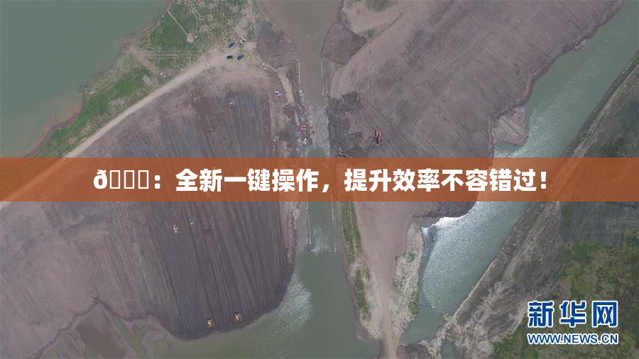 🔞：全新一键操作，提升效率不容错过！
