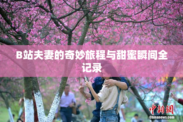 B站夫妻的奇妙旅程与甜蜜瞬间全记录