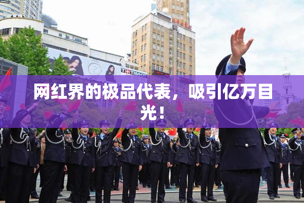 网红界的极品代表，吸引亿万目光！