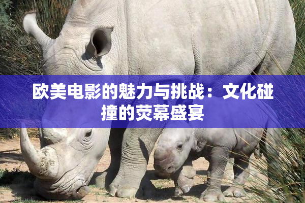 欧美电影的魅力与挑战：文化碰撞的荧幕盛宴