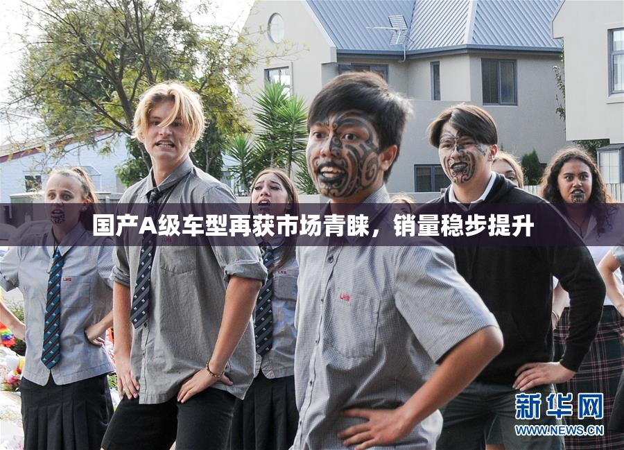 国产A级车型再获市场青睐，销量稳步提升