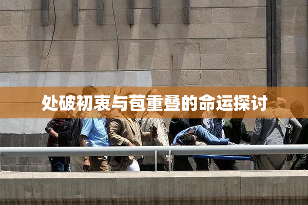处破初衷与苞重叠的命运探讨
