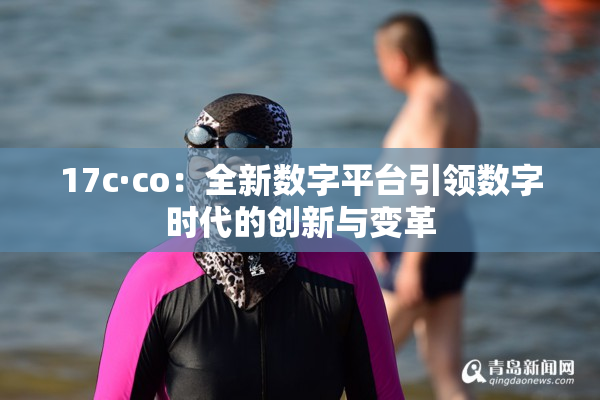 17c·co：全新数字平台引领数字时代的创新与变革