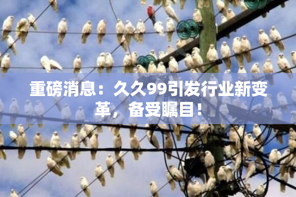重磅消息：久久99引发行业新变革，备受瞩目！