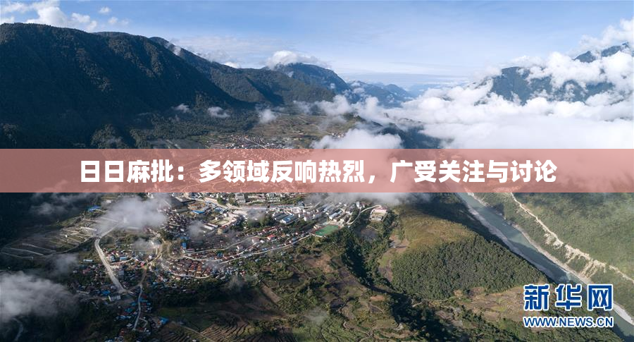 日日麻批：多领域反响热烈，广受关注与讨论