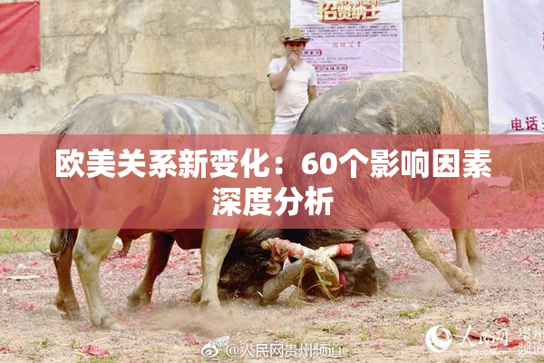 欧美关系新变化：60个影响因素深度分析
