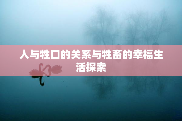 人与牲口的关系与牲畜的幸福生活探索