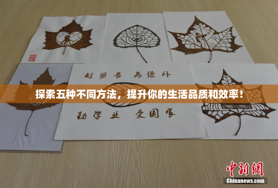 探索五种不同方法，提升你的生活品质和效率！