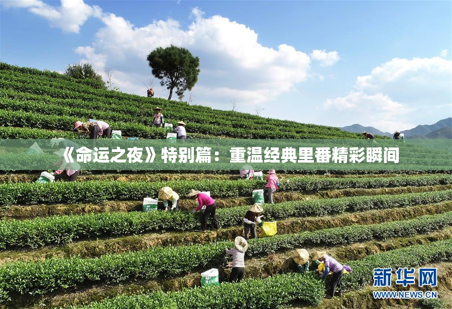 《命运之夜》特别篇：重温经典里番精彩瞬间