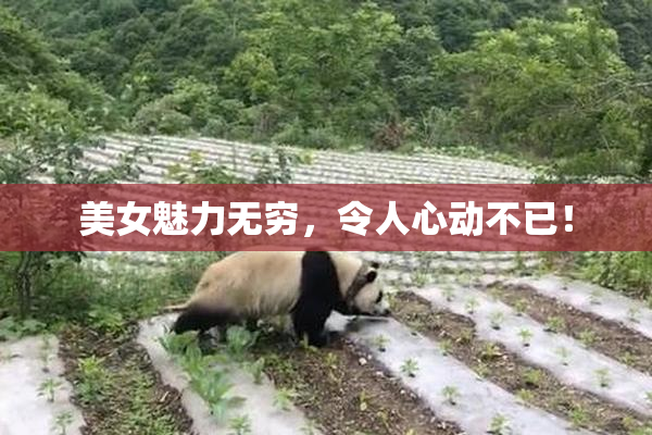 美女魅力无穷，令人心动不已！
