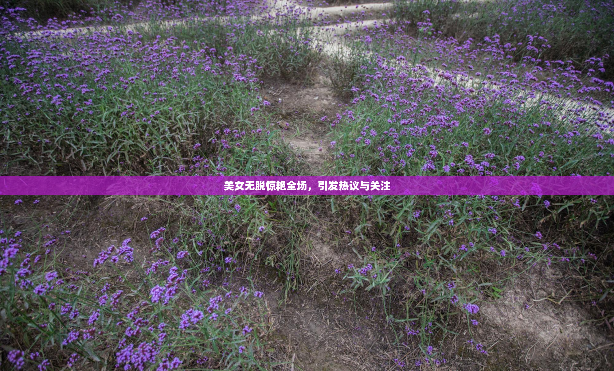 美女无脱惊艳全场，引发热议与关注