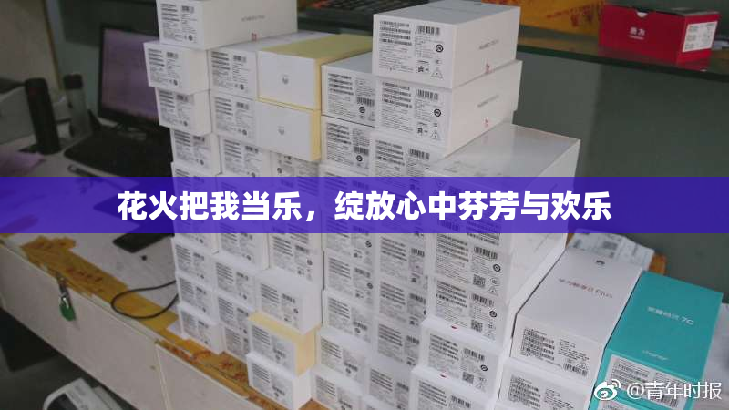 花火把我当乐，绽放心中芬芳与欢乐