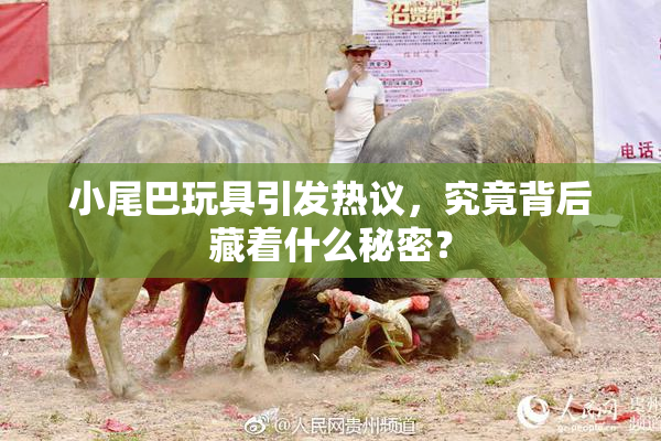 小尾巴玩具引发热议，究竟背后藏着什么秘密？