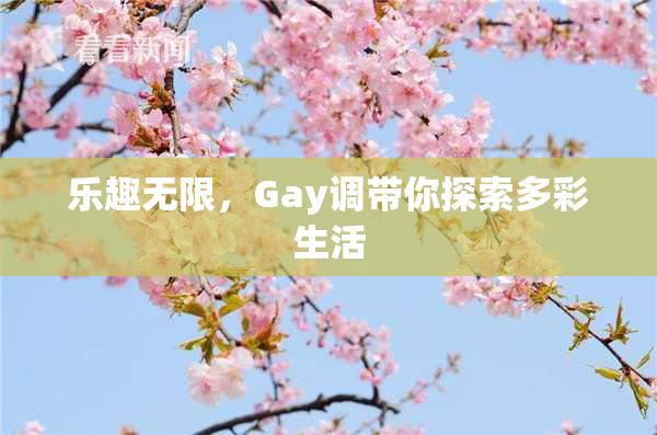 乐趣无限，Gay调带你探索多彩生活