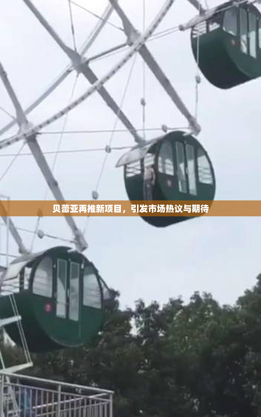 贝蕾亚再推新项目，引发市场热议与期待
