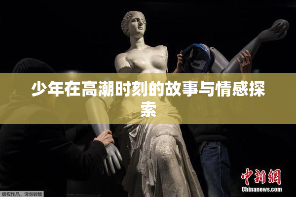 少年在高潮时刻的故事与情感探索