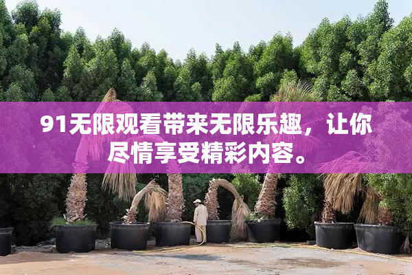 91无限观看带来无限乐趣，让你尽情享受精彩内容。