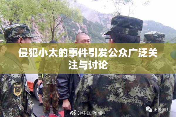 侵犯小太的事件引发公众广泛关注与讨论