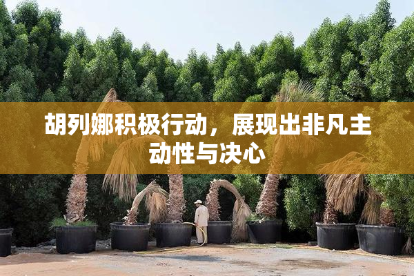 胡列娜积极行动，展现出非凡主动性与决心