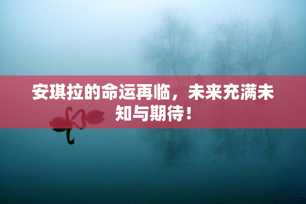 安琪拉的命运再临，未来充满未知与期待！