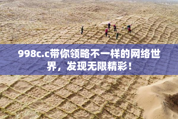 998c.c带你领略不一样的网络世界，发现无限精彩！