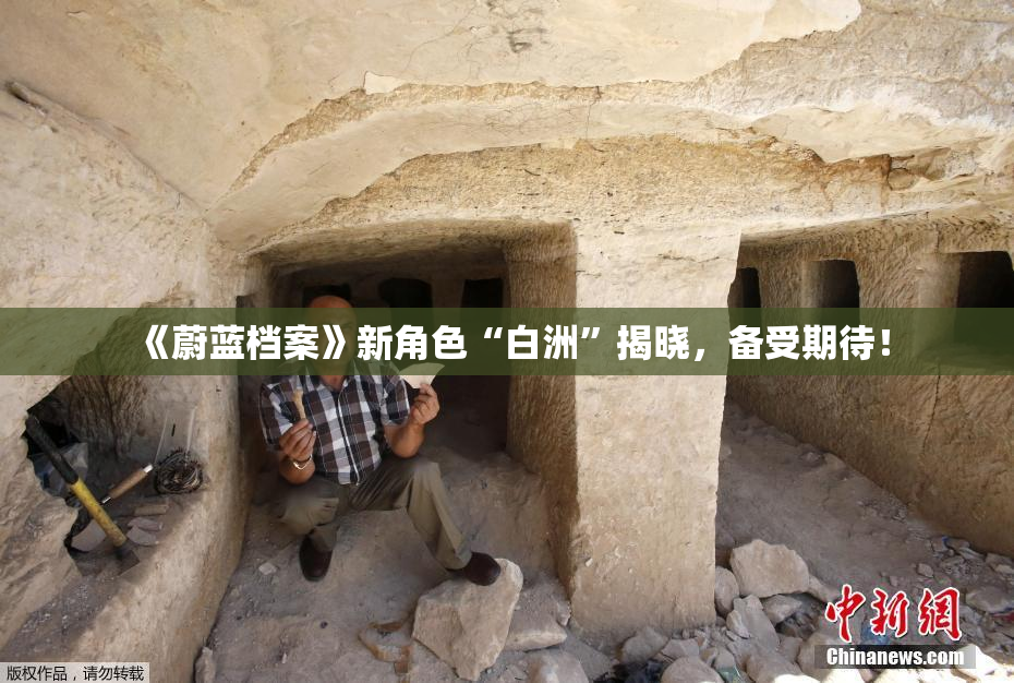 《蔚蓝档案》新角色“白洲”揭晓，备受期待！