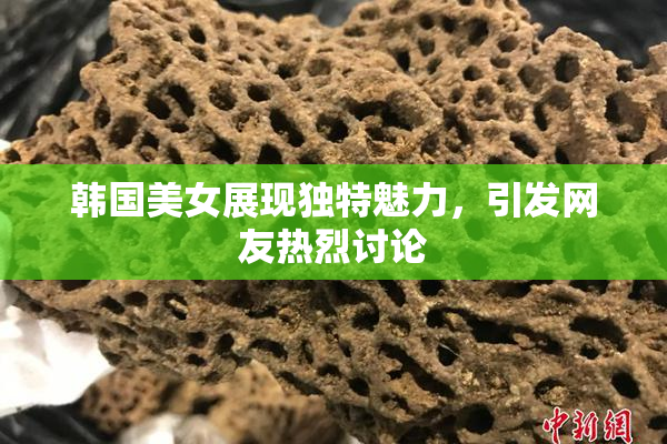 韩国美女展现独特魅力，引发网友热烈讨论