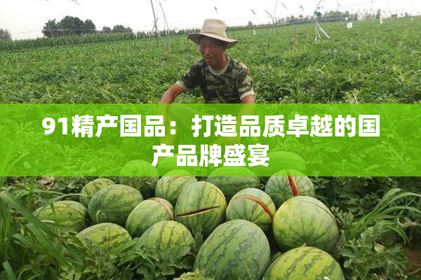 91精产国品：打造品质卓越的国产品牌盛宴