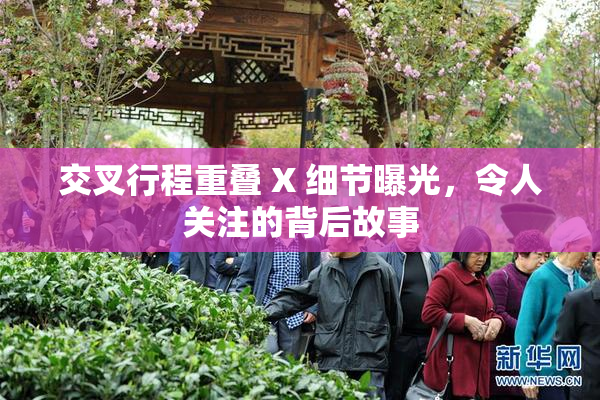 交叉行程重叠 X 细节曝光，令人关注的背后故事