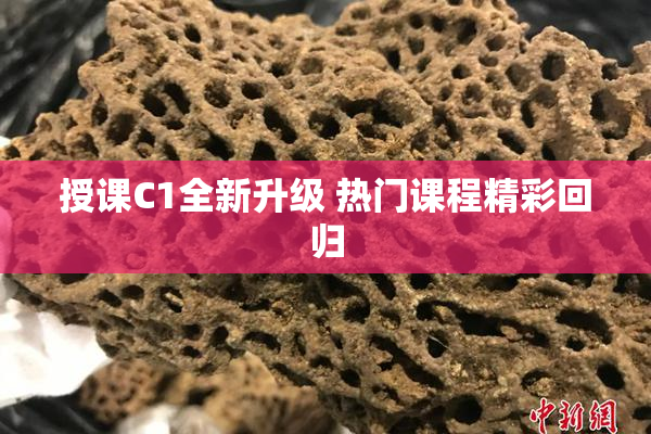 授课C1全新升级 热门课程精彩回归