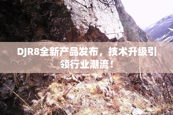 DJR8全新产品发布，技术升级引领行业潮流！