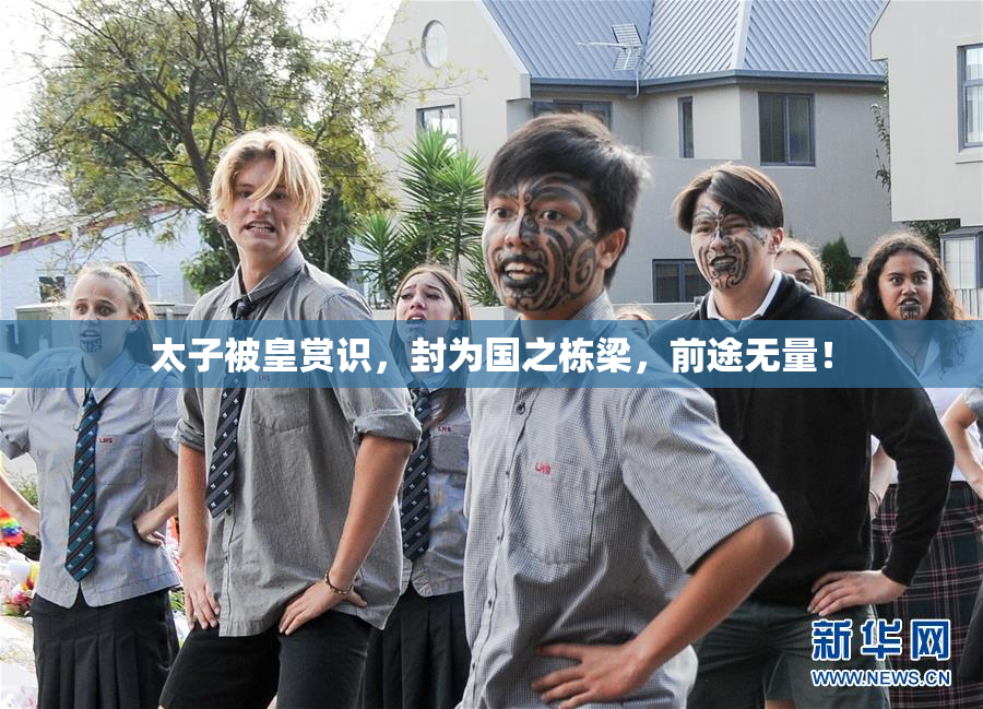太子被皇赏识，封为国之栋梁，前途无量！