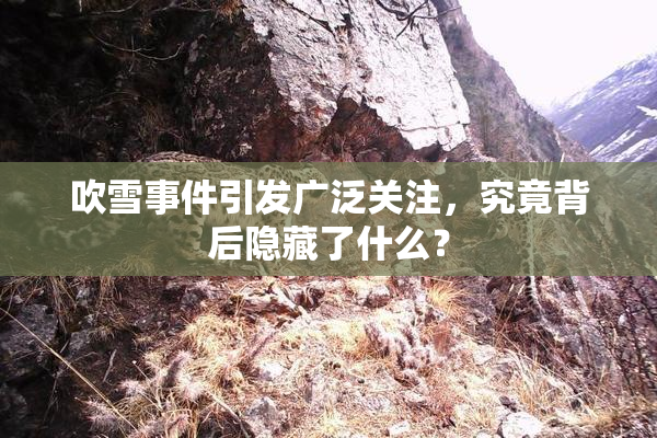 吹雪事件引发广泛关注，究竟背后隐藏了什么？