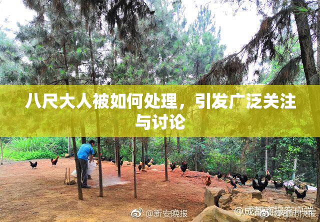 八尺大人被如何处理，引发广泛关注与讨论
