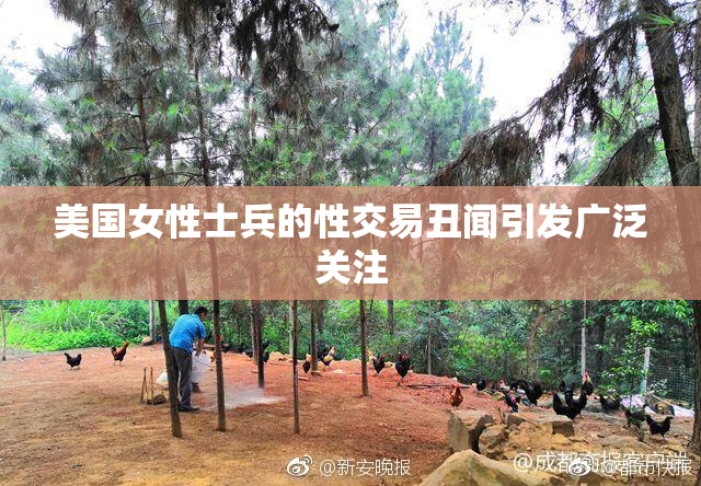 美国女性士兵的性交易丑闻引发广泛关注