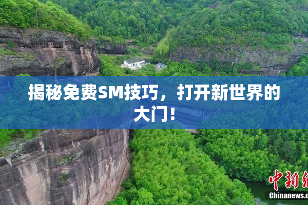 揭秘免费SM技巧，打开新世界的大门！