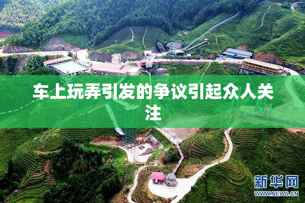 车上玩弄引发的争议引起众人关注