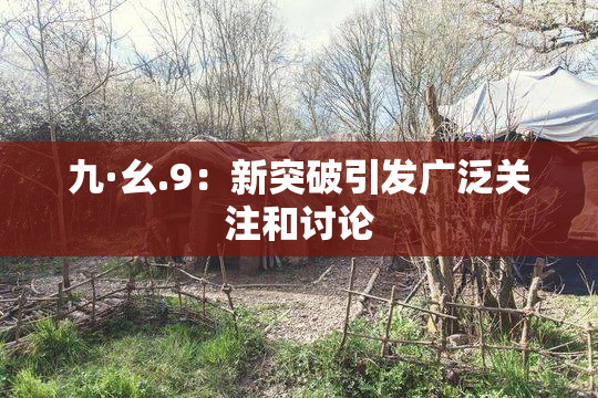 九·幺.9：新突破引发广泛关注和讨论